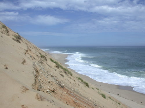 Cape Cod sand dunes