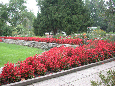 Horticulture around Ottawa - Ornamental garden