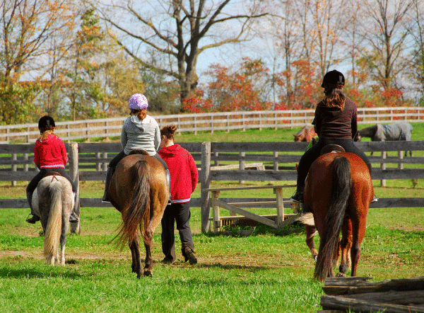 horseback riding