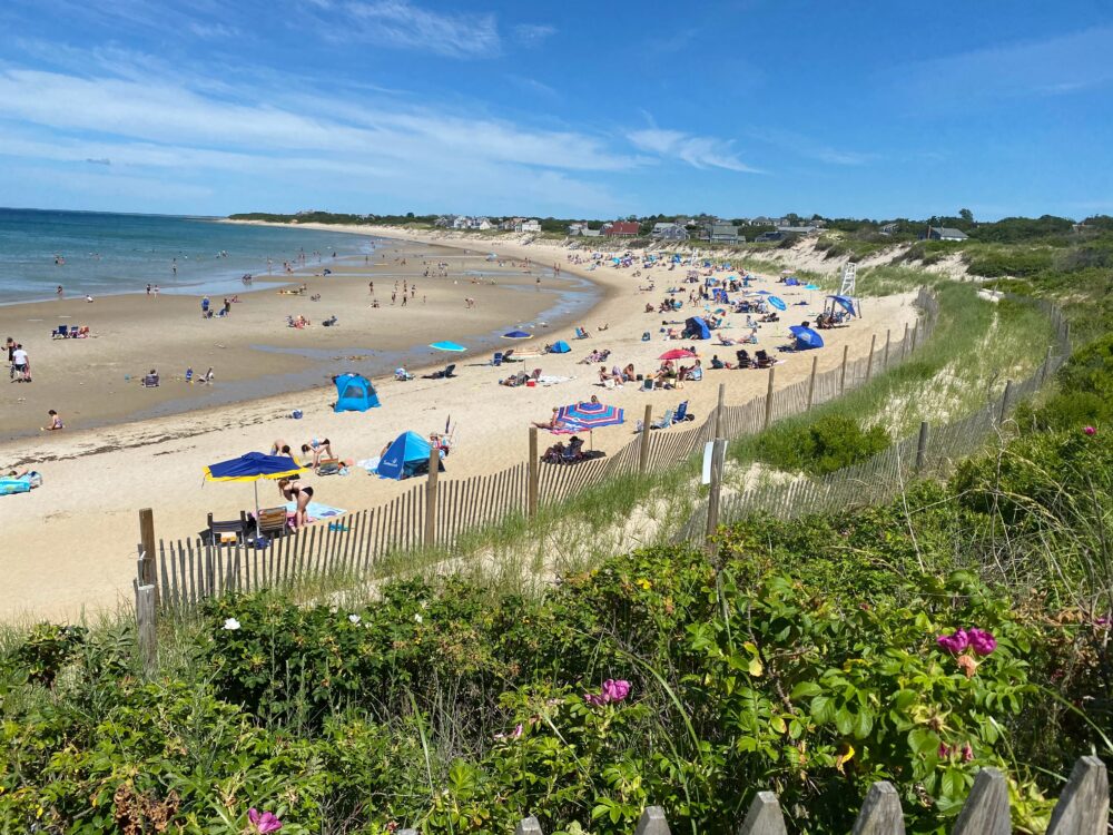 beach with people in cape cod massachusetts